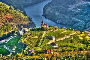 Douro Valley, Portugal