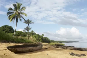 Galibi Nature Reserve, Suriname