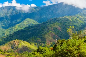 Blue Mountains, Jamaica
