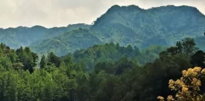 Montecristo Cloud Forest, El Salvador