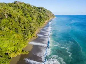 Osa Peninsula, Costa Rica