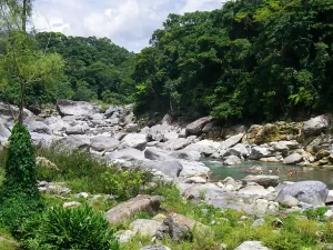 Pico Bonito National Park, Honduras 