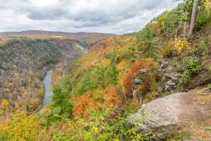 Pine Creek Gorge, Pennsylvania
