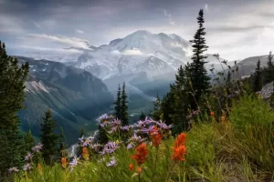 Mount Rainier National Park, Washington