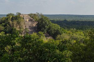 Calakmul Biosphere Reserve, Campeche State, Mexico