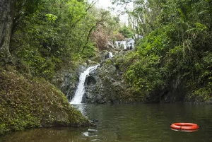 Argyle Waterfall, Trinidad and Tobago