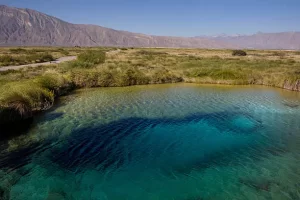 Cuatro Ciénegas, Cuahuila State, Mexico