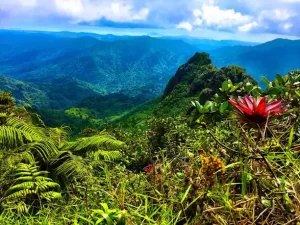El Yunque National Forest, Puerto Rico