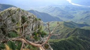 Sierra de la Laguna Biosphere Reserve, Baja California Sur