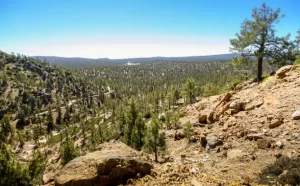 Sierra de San Pedro Mártir National Park, Baja California, Mexico