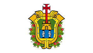 Veracruz State, Mexico flag