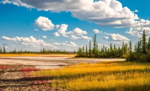 Wood Buffalo National Park, Northwest Territories, Canada