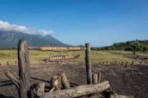 Baluran National Park, Indonesia