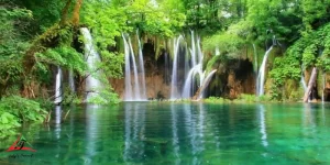 Cuc Phuong National Park, Vietnam