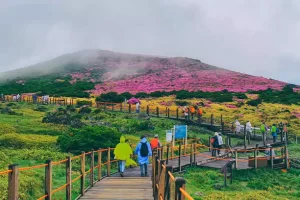 Hallasan National Park, South Korea