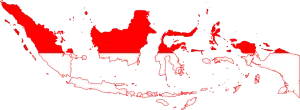 Indonesia map and flag