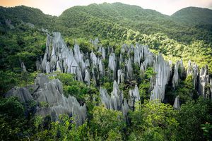 Gunung Mulu National Park, Malaysia
