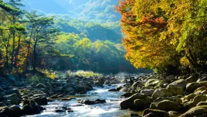 Jirisan National Park, South Korea