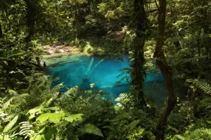 Kerinci Seblat National Park, Indonesia