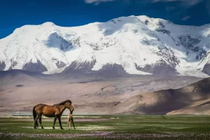 Khustain Nuruu National Park, Mongolia