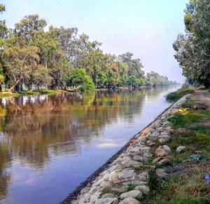 Lal Suhanra National Park, Pakistan