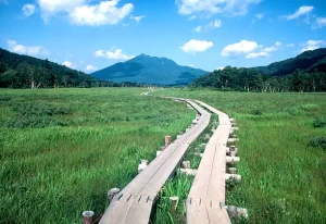 Oze National Park, Japan