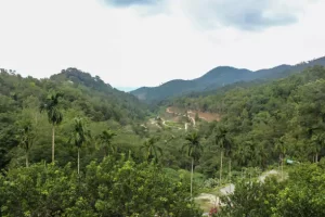 Penang National Park, Malaysia
