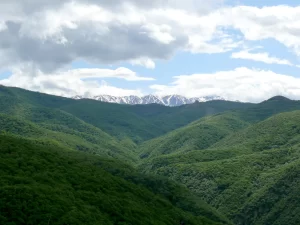 Shikahogh State Reserve, Armenia