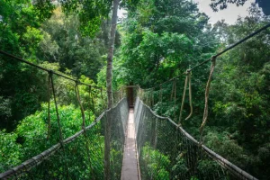 Taman Negara, Malaysia