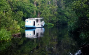 Tanjung Puting National Park, Indonesia