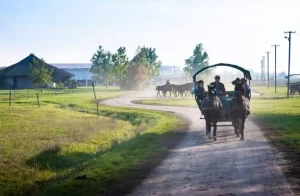 Hortobagy Hungary