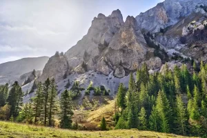 Shar Mountain, North Macedonia