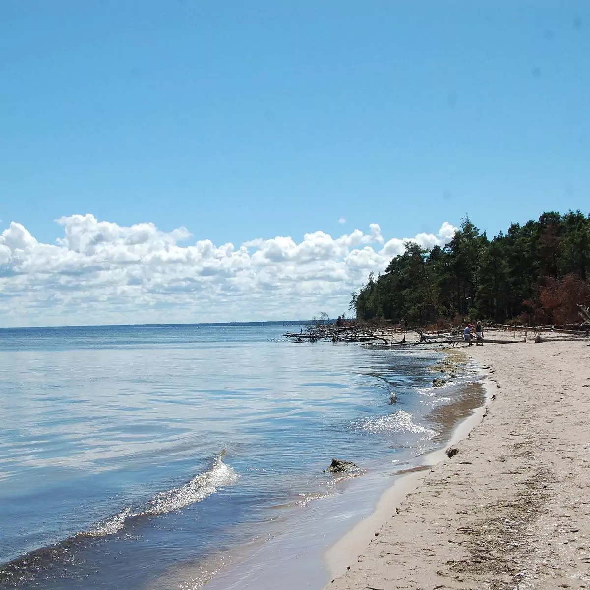 Slitere National Park Slītere, Latvia - Things to do & Place to stay