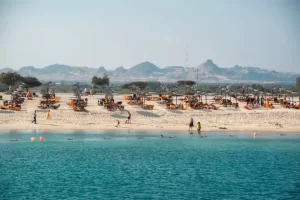 Sir Bani Yas Island, United Arab Emirates